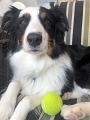Zoey_TBall_5-2020 (3)